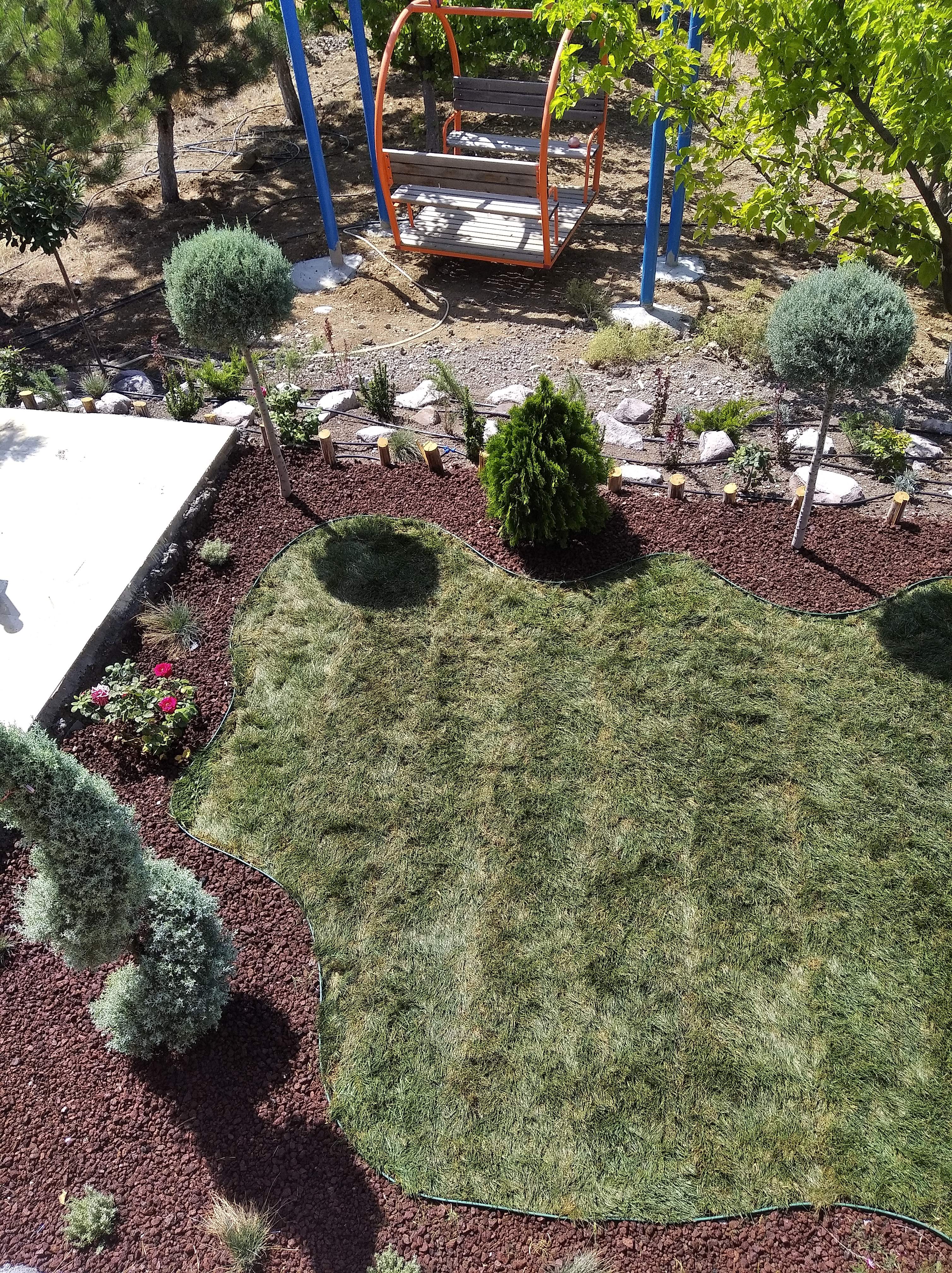 BİTKİ TEMİNİ VE UYGULAMASI